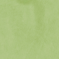 Obraz premium green leather texture