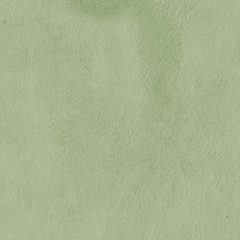 Fototapeta premium green leather texture