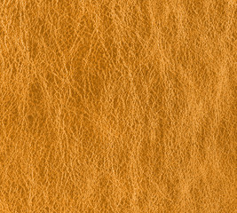  green leather texture as background