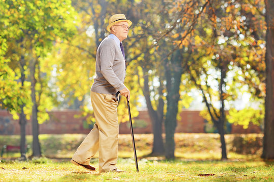 Smiling senior gentleman walking with a cane in a park