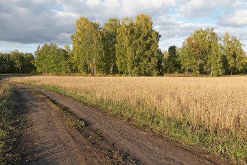 Road in field