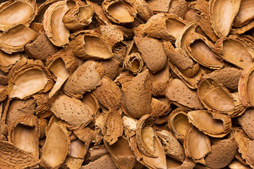 almond shells in the background