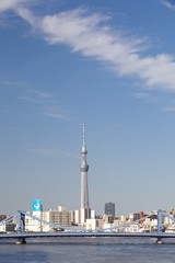 Fototapeta na wymiar Zobacz Tokyo Sky Tree