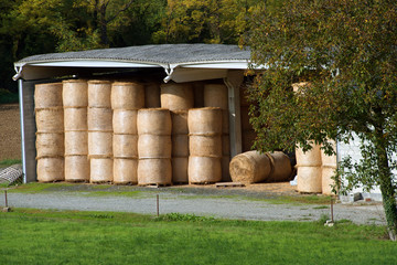 Bales of hay