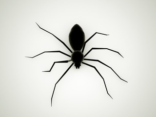 Spider black rendered