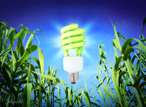 growth ecology - CF Lamp - green lighting