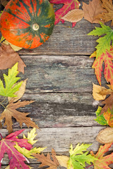 Naklejka na ściany i meble Autumn decoration