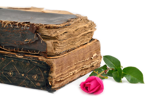 roses next to the historic books isolated