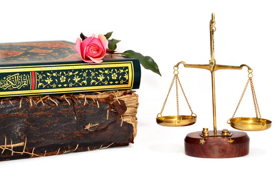 rose on a book and scales of justice over white background