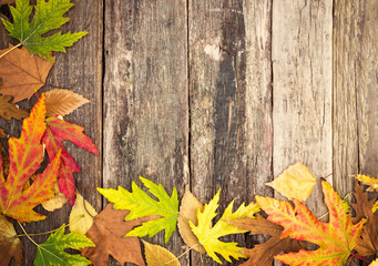autumn leaves