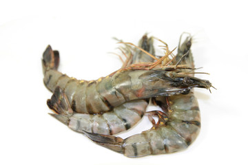 gambas