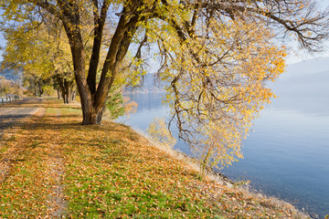 Autumn by the lake