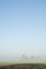 Distant Trees in Fog.
