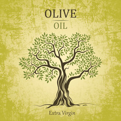 Naklejka premium olive tree. Olive oil.Vector olive tree. For labels, pack.
