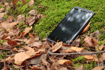 Modern smartphone in moss