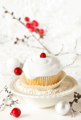 Winter cupcake.
