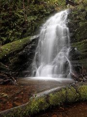 Fototapeta na wymiar Lacey wodospad w lesie
