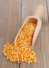 Corn kernels