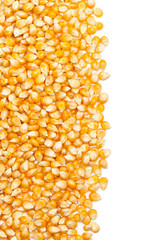 Corn kernels
