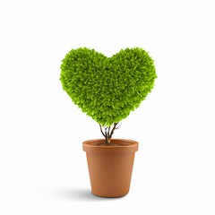 Heart symbol