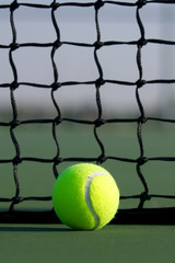 Tennis Ball with Court Net