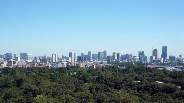 快晴青空の東京都心の眺望 緑と高層ビル群　（インターバル撮影）