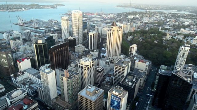 Aerial View of Auckland Cityscape