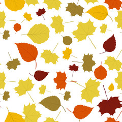 The abstract fall background