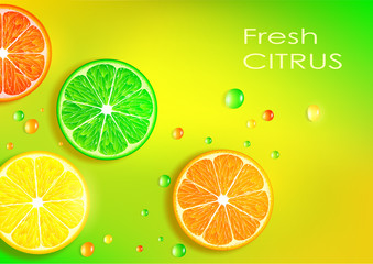 orange, lemon, lime and grapefruit