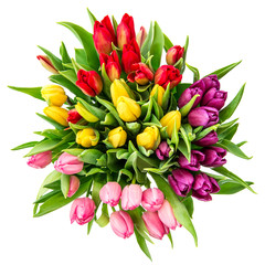 bouquet of fresh multicolor tulips. top view