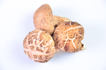 fresh mushroom champignon isolated on white background