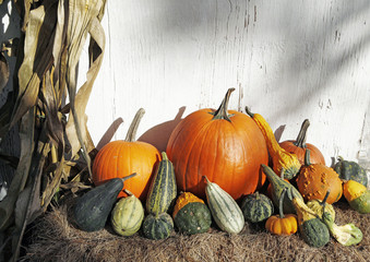 October harvest