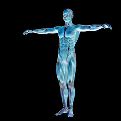3D human man anatomy for health or medicine