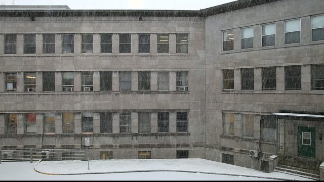 Neige