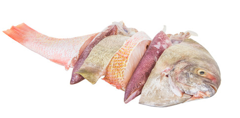 Mixed fish and squid over white background