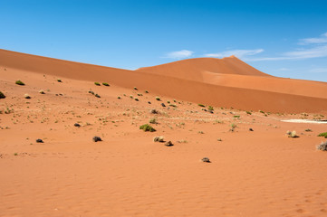 Fototapeta na wymiar namib