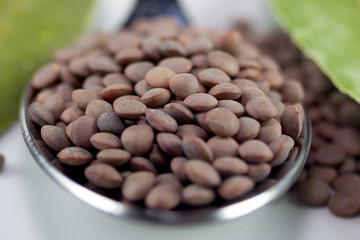 Lentils
