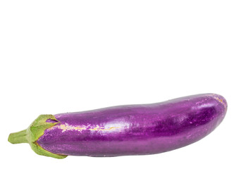 Eggplant vegetable over white background