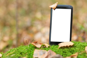 Smart phone in moss with empty screen