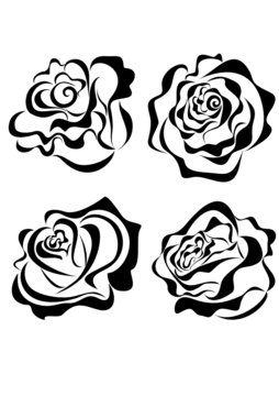 Vector stylized roses isolated on white background