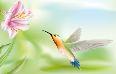 hummingbird © dracozlat