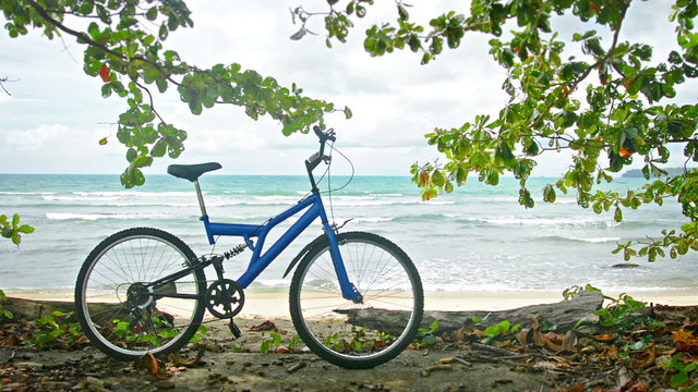 Bicycle on a tropical beach. Wild nature of Thailand