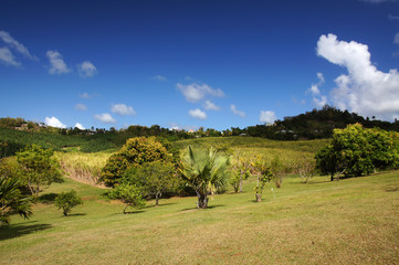 Parc de l'habitation Cl&eacute;ment