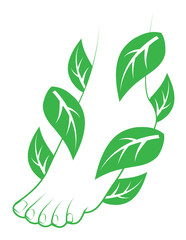 Human foot with leafs. Element for design.