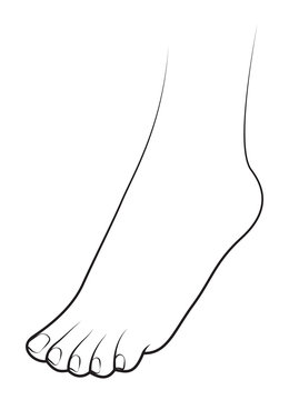 Human foot on white background