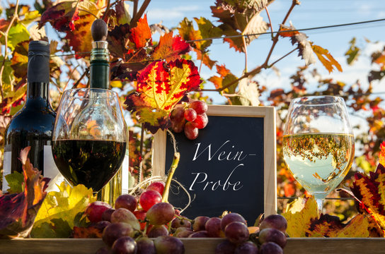 Weinprobe im Herbst