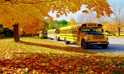 Fotobehang Yellow School Bus © amurca