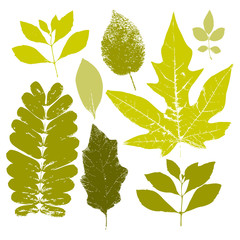 Fall leaves set