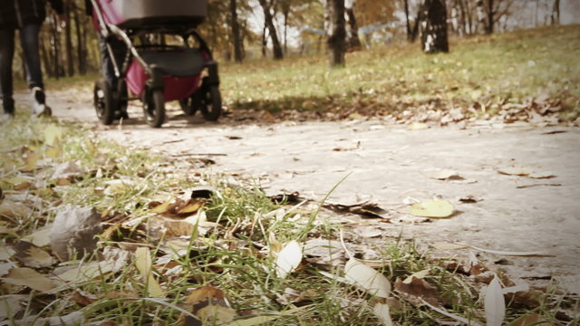 Young couple walk in autumn park with little buggy