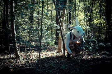 young hipster rabbit mask woman in autumn